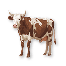 Livestock
